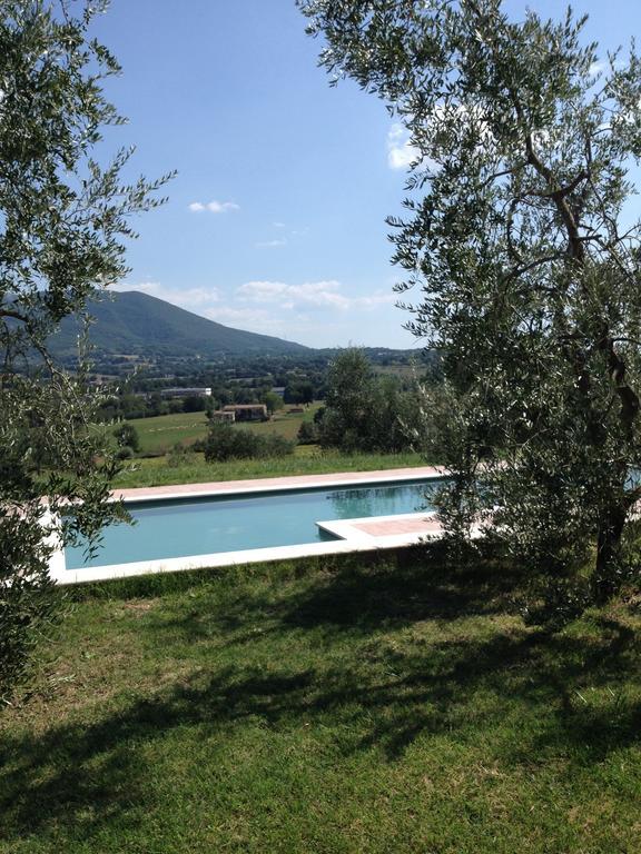 La Casa Nell'Oliveto Bed & Breakfast Acquasparta ภายนอก รูปภาพ